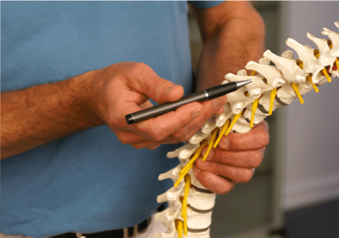 Doctor examining the human spine