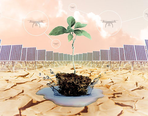 illustration of a plant growing in dry earth, drones in the sky and solar panels.