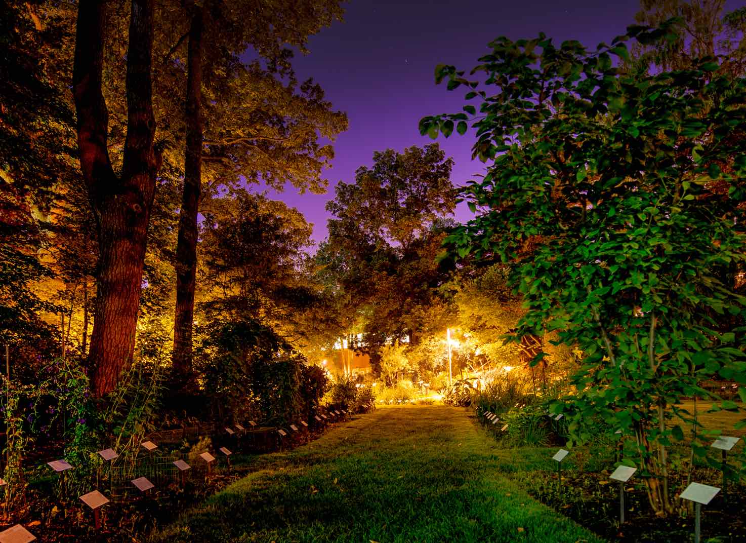 Beal Garden glows with a pink and purple sky