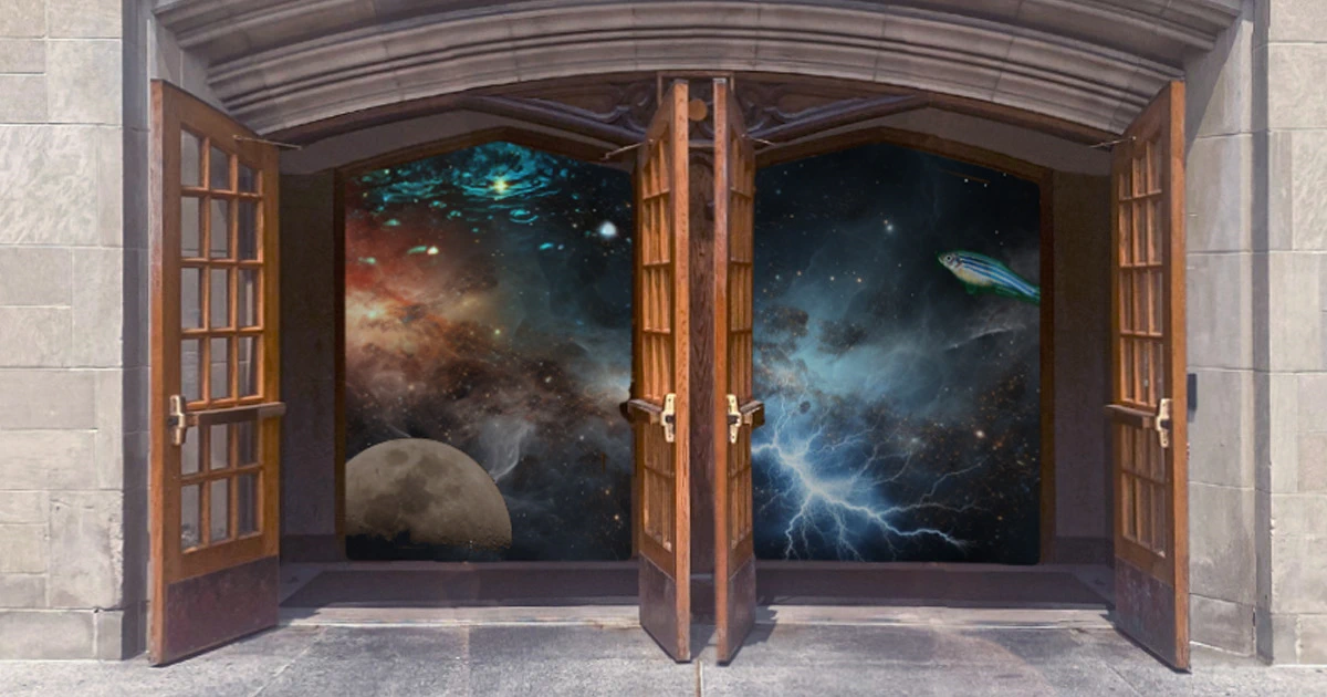 Doors of Natural Science opened with the sky painted in the openings of the doors