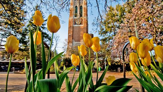 Michigan State University, Online Ticket Office