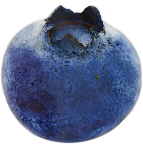 Large blueberry image