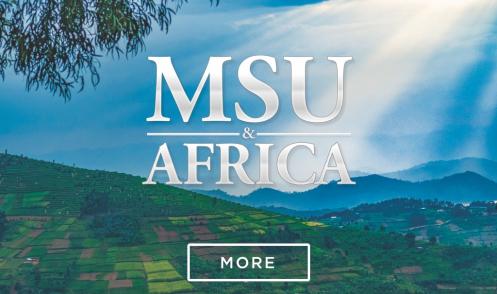 Challenging Colleges to Reform STEM Learning